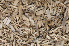 biomass boilers Cranleigh